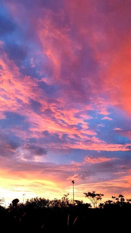 Rising Sun - Accommodation Cairns 0
