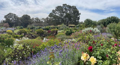 River Gardens Axedale Pet Friendly Farmstay B&B - Accommodation Cairns 0