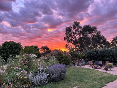 River Gardens Axedale Pet Friendly Farmstay B&B - Accommodation Cairns 3