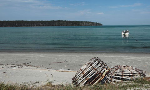 Rock Lobster - Accommodation Cairns 2