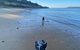 Salty Paws Dog Friendly Luxe Cottage - thumb 3