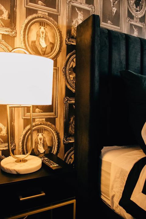 Rooms Of Renown - The Panaretto Parlour - Accommodation Cairns 2