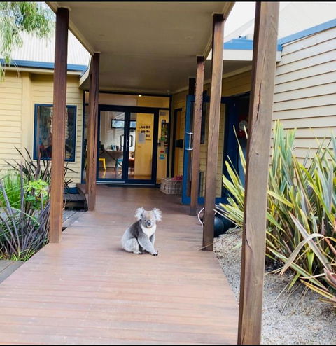 Sandpiper Motel Apollo Bay - Accommodation Cairns 3