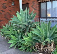 Beautiful Bedroom in Bentleigh East - Accommodation Cairns