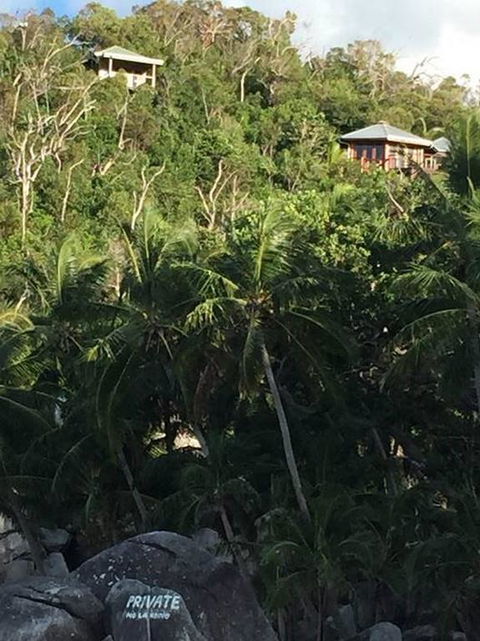 Bedarra Island Treetop Hideaway - Accommodation Cairns 3