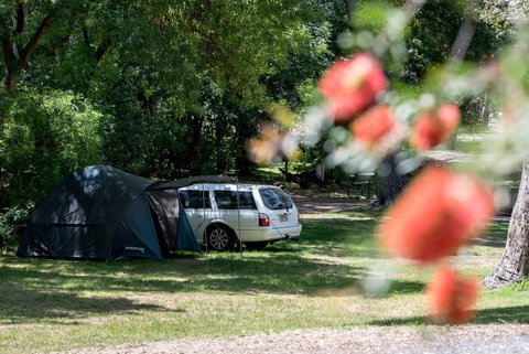 Belair National Park Holiday Park - Accommodation Cairns 0