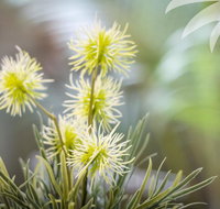 Bessou - Accommodation Cairns