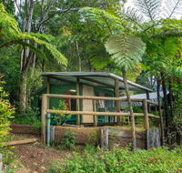 Binna Burra Rainforest Campsite - Accommodation Cairns