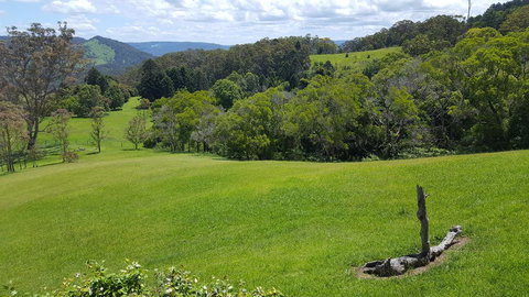 Blue Summit Cottages - Accommodation Cairns 3