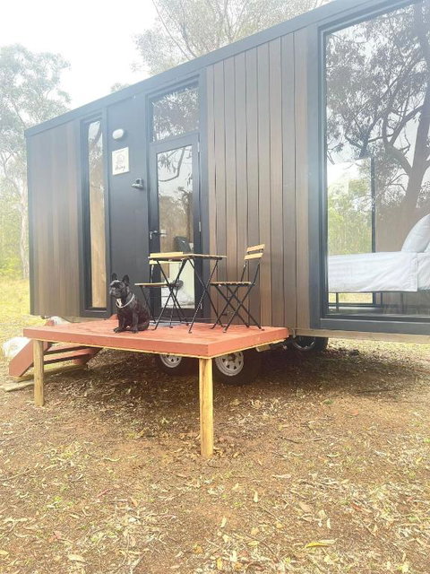 Whispering Wallaby By Tiny Away - Accommodation Cairns 1