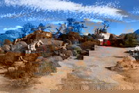 The Big Wave Rock Private Day Tour, Perth