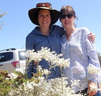 Spring Wildflower Private Day Tours - Accommodation Cairns