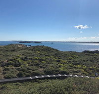 Penguin Island And Fremantle - Canoe Chocolate  Coffee - Accommodation Cairns
