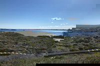 Penguin Island And Fremantle - Canoe Chocolate  Coffee, Perth