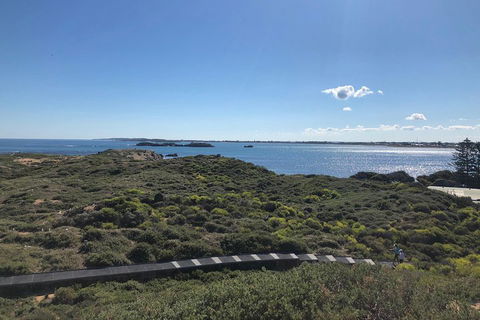 Penguin Island And Fremantle - Canoe, Chocolate & Coffee - Accommodation Cairns 0