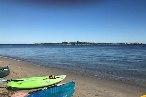 Penguin Island And Fremantle - Canoe, Chocolate & Coffee - Accommodation Cairns 2