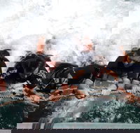 Cruise in Moreton Bay Marine Park and Moreton Island - Accommodation Cairns