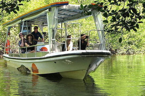 3-Day Best Of Cairns Combo: The Daintree Rainforest, Great Barrier Reef, And Kuranda - Accommodation Cairns 4