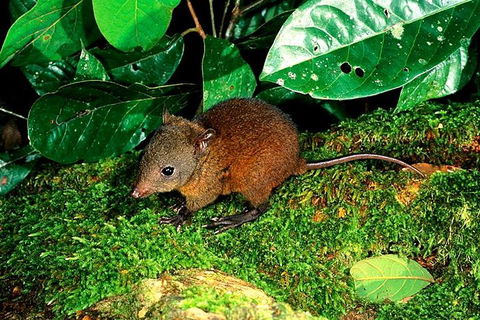3-Day Small-Group Tour Of North Queensland With Pick Up - Accommodation Cairns 0