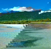 Private Daintree National Park Day Tour from Cairns Including Cape Tribulation and Mossman Gorge - Accommodation Cairns