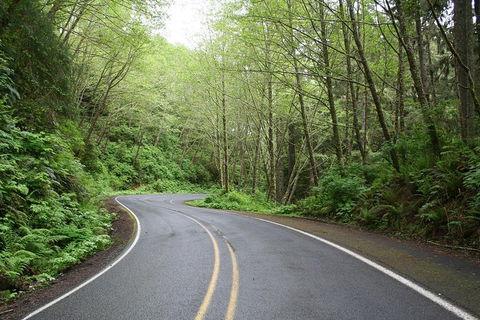 Cruise Ship Shore Excursion - Private Great Ocean Road Full Day Tour (12 Hour) - Accommodation Cairns 3