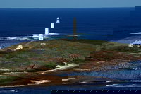 Book Viator Accommodation Vacations Accommodation Cairns Accommodation Cairns