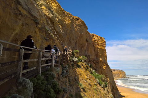 Private Express Experience - 12 Apostles - Accommodation Cairns 3