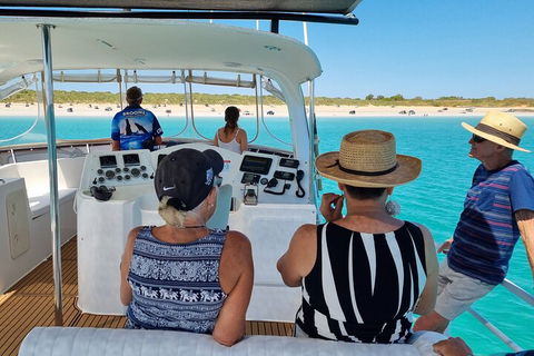 Snubfin Dolphin Eco Cruise From Broome - Accommodation Cairns 5