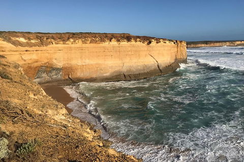 12 Apostles Tour From Warrnambool - Accommodation Cairns 1