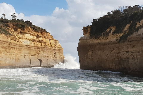 12 Apostles Tour From Warrnambool - Accommodation Cairns 2