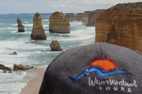 12 Apostles Tour From Warrnambool - Accommodation Cairns 4