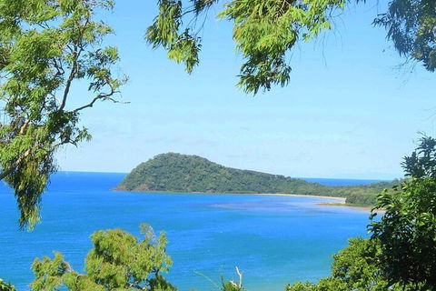 Full Day Tour In The Daintree - Accommodation Cairns 1