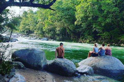 Full Day Tour In The Daintree - Accommodation Cairns 3