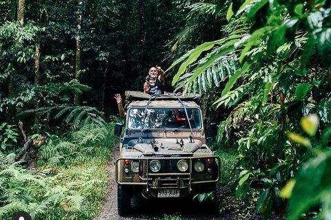 Full Day Tour In The Daintree - Accommodation Cairns 4