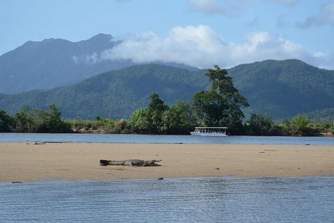 Afternoon Half-Day Daintree Rainforest And River Tour - Accommodation Cairns 2