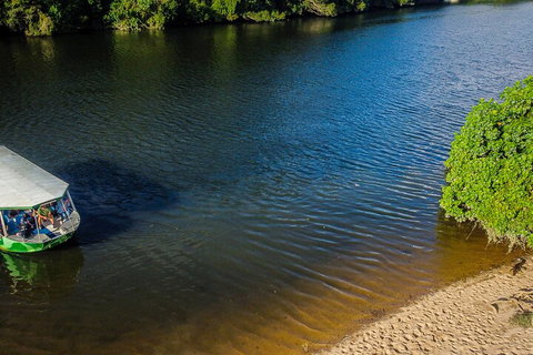 Afternoon Half-Day Daintree Rainforest And River Tour - Accommodation Cairns 3