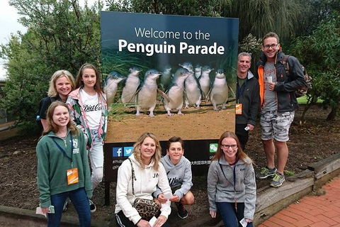 Phillip Island Medium Size Group Tour - Accommodation Cairns 5