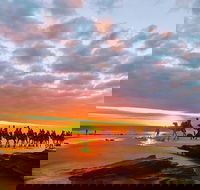 1 Hour Broome Sunset Camel Tour - Accommodation Cairns