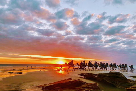1 Hour Broome Sunset Camel Tour - Accommodation Cairns 0