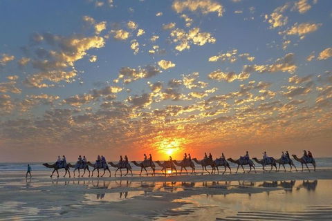 1 Hour Broome Sunset Camel Tour - Accommodation Cairns 1