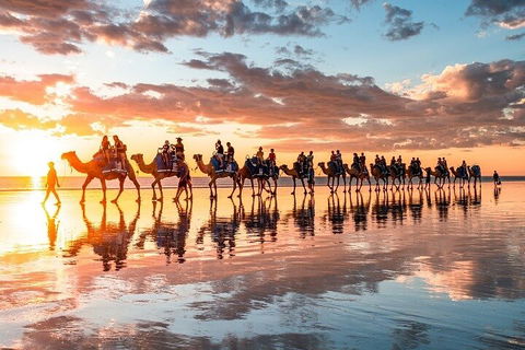 1 Hour Broome Sunset Camel Tour - Accommodation Cairns 2