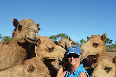 1 Hour Broome Sunset Camel Tour - Accommodation Cairns 3