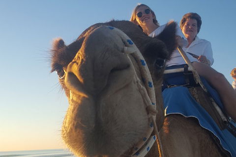 1 Hour Broome Sunset Camel Tour - Accommodation Cairns 4