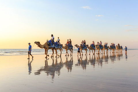 1 Hour Broome Sunset Camel Tour - Accommodation Cairns 5