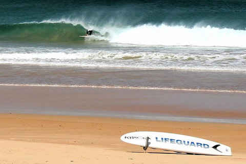 Half Day Manly Beach And More - Accommodation Cairns 5