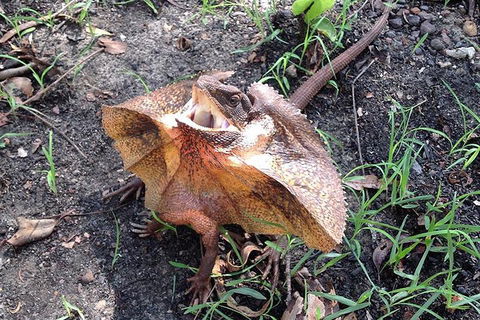 Litchfield National Park And Jumping Crocodile Cruise - Accommodation Cairns 1