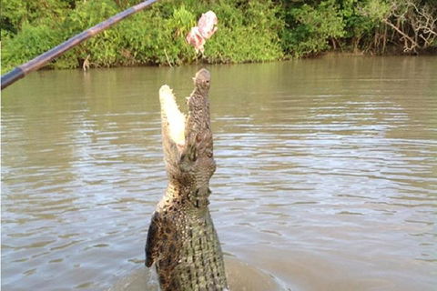 Litchfield National Park And Jumping Crocodile Cruise - Accommodation Cairns 2