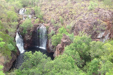 Litchfield National Park And Jumping Crocodile Cruise - Accommodation Cairns 4