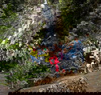 5-Day Lap of Tasmania Tour from Hobart flexible ticket - Accommodation Cairns