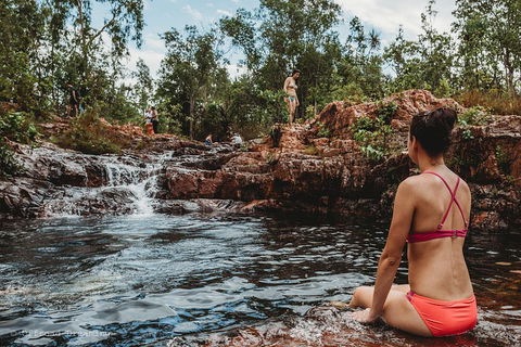 Litchfield National Park Day Tour From Darwin With Waterfalls And Buley Rockhole - Accommodation Cairns 0